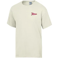 Georgia Hand Drawn Pennants Comfort Wash Tee