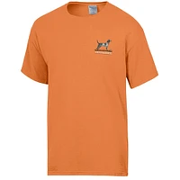 Tennessee Comfort Wash UT Smokey Tee