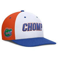 Florida Jordan Brand Dri-Fit Pro Local Snapback Cap