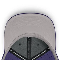 Clemson Nike Dri Fit True Structured Aero Bill Baseball Hat