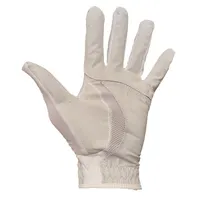  Vt | Virginia Tech Golf Glove | Alumni Hall