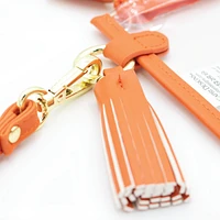 Florida Wristlet Clear Bag