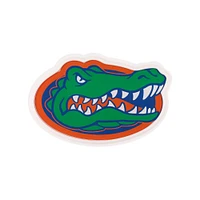 Florida 15 inch Light Up Team Logo Sign