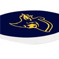  Bucs | Etsu 2pk Car Coaster | Alumni Hall