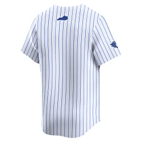 Kentucky Nike Baseball Alternate Jersey