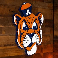 Auburn Vault Hex Head 24