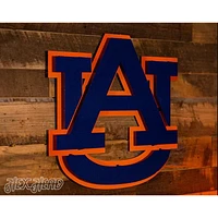 Auburn Hex Head 21