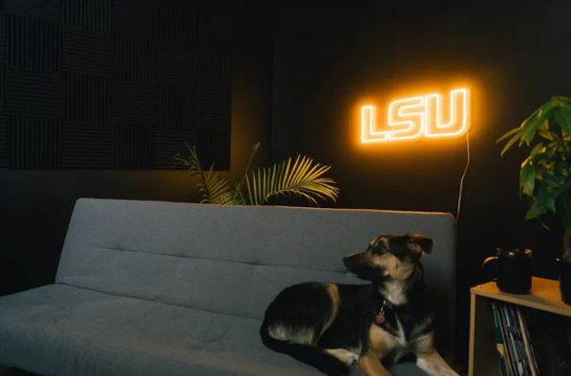  Lsu | Lsu Saturday Neon Sign | Alumni Hall