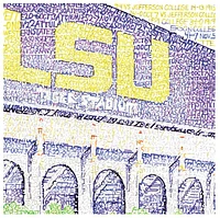LSU 16