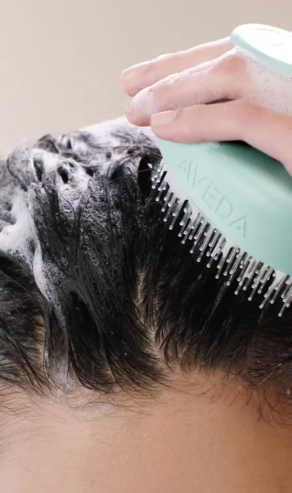 scalp solutions balancing shampoo