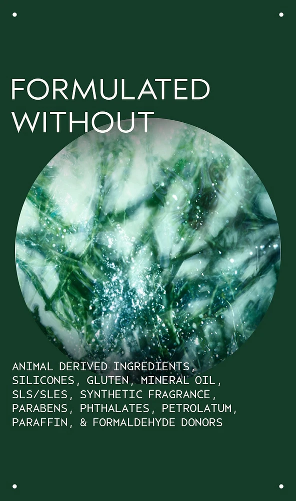 botanical kinetics™ purifying creme cleanser