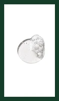 botanical kinetics™ purifying gel cleanser