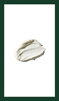 aveda men pure-formance™ shave cream