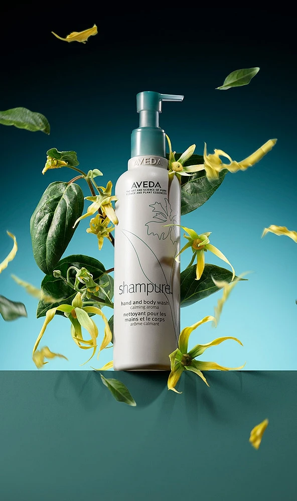 shampure™ hand and body wash