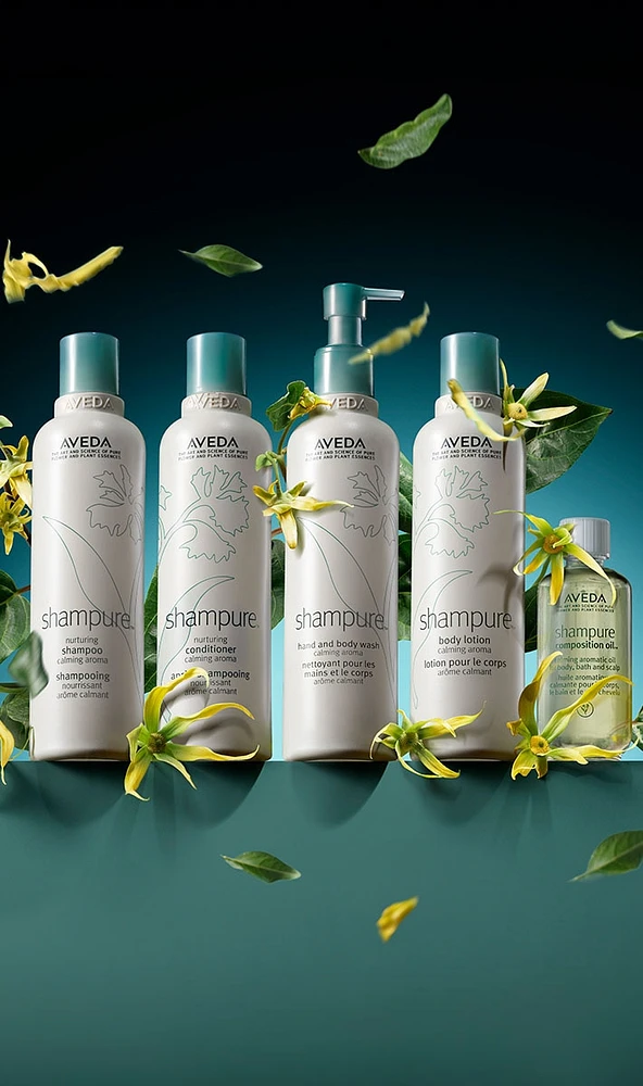 shampure composition oil™