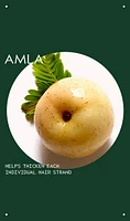 aveda men pure-formance™ thickening paste