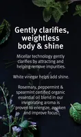 Rosemary Mint Purifying Shampoo