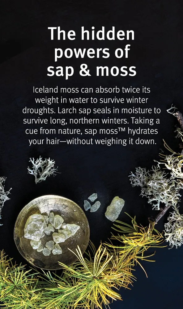 Sap Moss Hydrating Conditioner