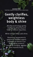 rosemary mint invigorating hair & body essentials gift set