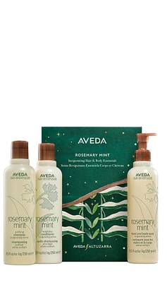 rosemary mint invigorating hair & body essentials gift set