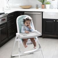 Ingenuity Ity by Ingenuity Yummity Yum Easy Folding High Chair - Goji