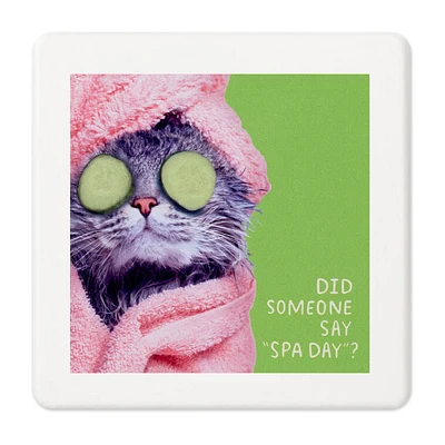 Pampered Cat Photo Funny Coaster