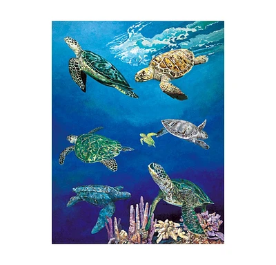 Majestic Sea Turtles