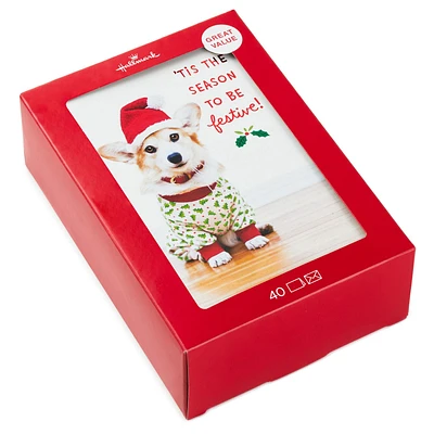 Holiday Pup in Jammies and Hat Boxed Christmas Cards, Pack of 40