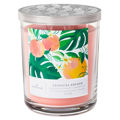 Tropical Escape 3-Wick Jar Candle, 16 oz.