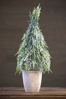 Icy Downswept Potted Tree 18"