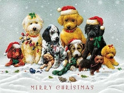 A Very Puppy Christmas  Box Cards