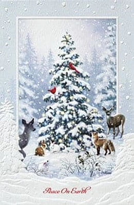 Woodland Christmas Box Cards