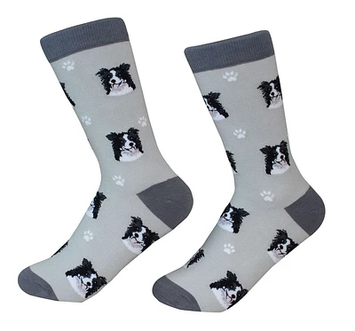 Border Collie - Socks