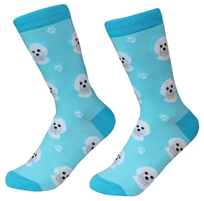 Bichon Frise - Socks