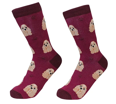 Cocker Spaniel - Socks