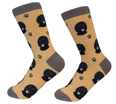 Black Labradoodle - Socks