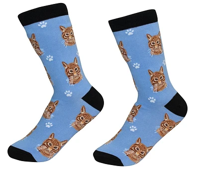 Orange Tabby Cat - Socks