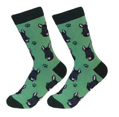 Scottish Terrier - Socks