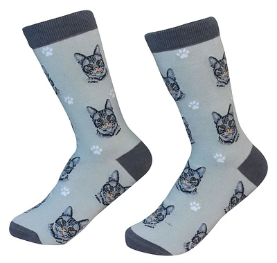 Silver Tabby Cat - Socks