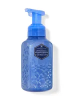 Lavender Vetiver Gentle & Clean Foaming Hand Soap