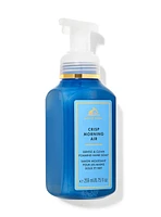 Crisp Morning Air Gentle & Clean Foaming Hand Soap