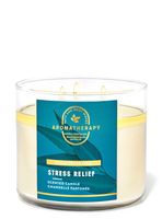 Eucalyptus Tea 3-Wick Candle
