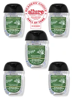Eucalyptus Spearmint PocketBac Hand Sanitizers, 5-Pack