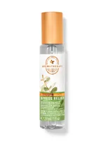 Eucalyptus Spearmint Travel Size Essential Oil Mist