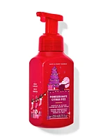 Pomegranate Citrus Fizz Gentle & Clean Foaming Hand Soap