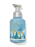 Frozen Lake Gentle & Clean Foaming Hand Soap