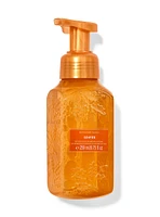 Leaves Gentle & Clean Foaming Hand Soap