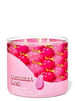 Raspberry Rosé 3-Wick Candle