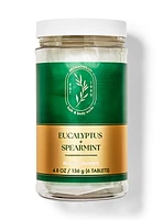 Eucalyptus Spearmint Shower Steamers