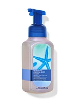 Crystal Blue Coast Gentle & Clean Foaming Hand Soap